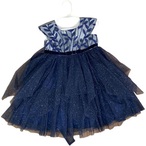 Jona Michelle Navy Floral Glitter Dress (2T Girls)